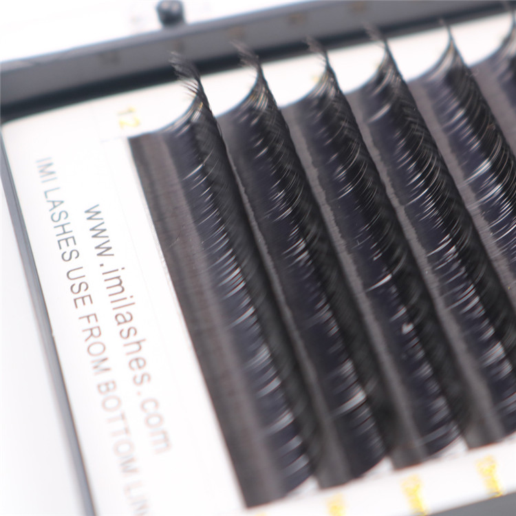 Brush on false individual false eyelashes-D